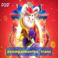 acompanhantes trans baixada fluminense